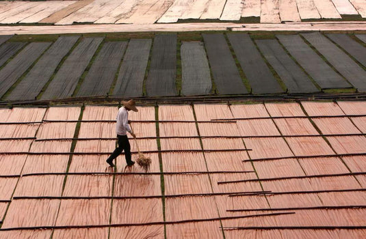 Fabric Mud silk - Crose Silk