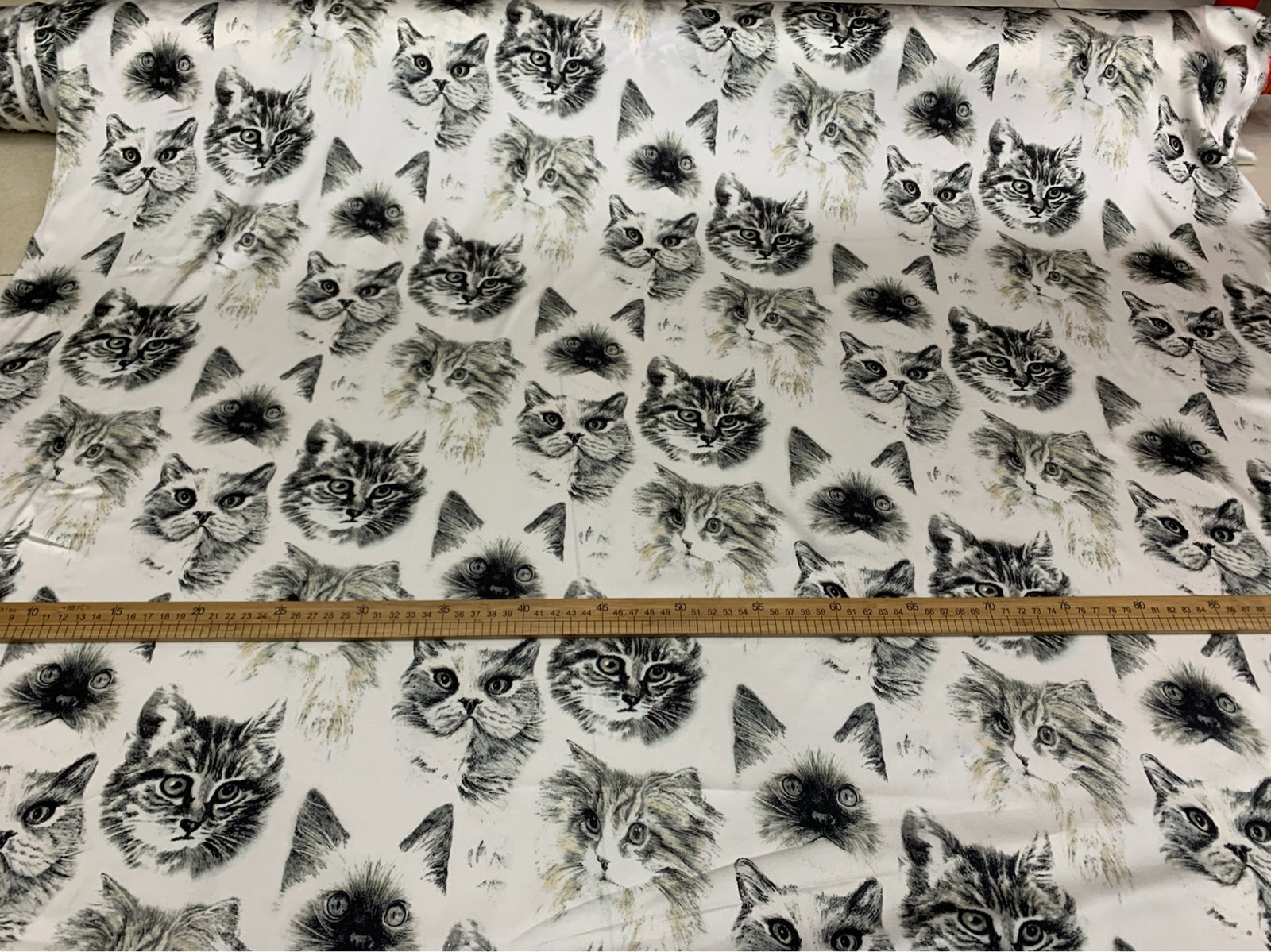 CUTMAO - 19 Momme Elegant and Cool cat Portrait on White background Pattern Digital Print Stretch Silk Satin Fabric - 108cm wide by the Yard